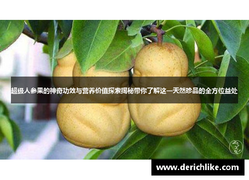 超级人参果的神奇功效与营养价值探索揭秘带你了解这一天然珍品的全方位益处